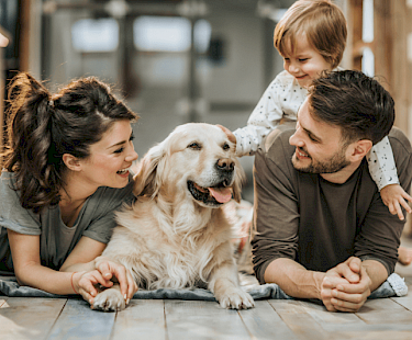 Vijf belangrijkste punten bij het kiezen van een zorgverzekering